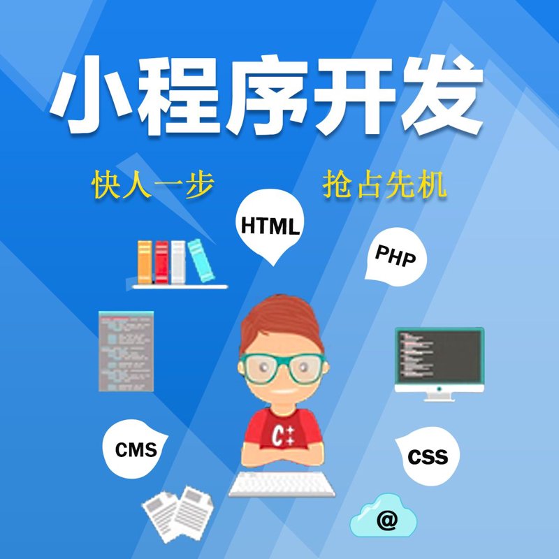 小程序开发：企业与个人的数字助手