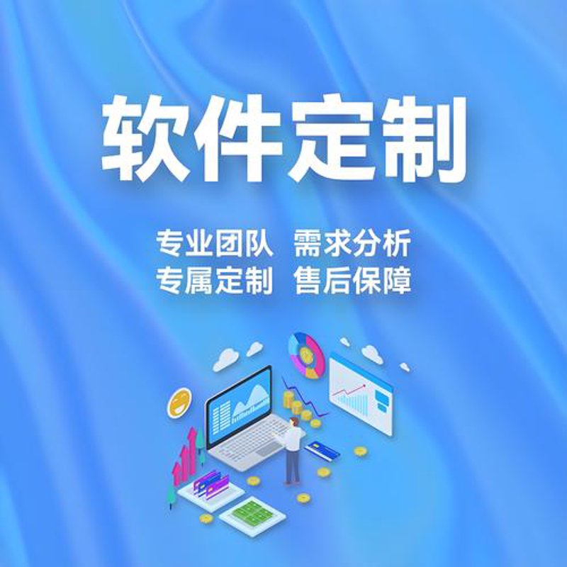 软件定制开发：构建企业核心竞争力的秘密武器