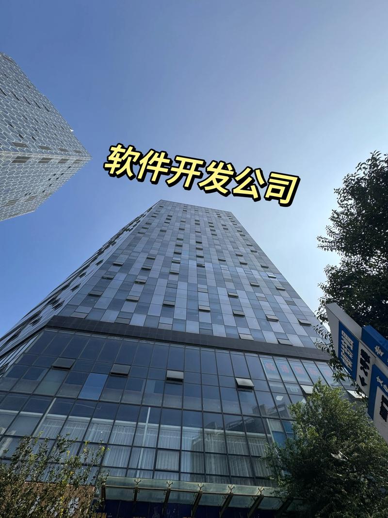 软件定制开发：企业高效定制创新的良策